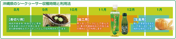 説明: 沖縄県のシークヮーサー収穫時期と利用方