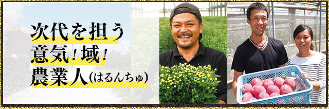 沖縄の元気な農業者を紹介！ 次代を担う意気！域！農業人（はるんちゅ）