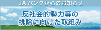 反社会勢力等の排除に向けた取組み