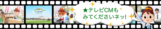 ★テレビCMもみてくださいネッ！