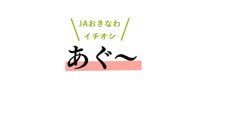 ＪＡおきなわイチオシ あぐ〜